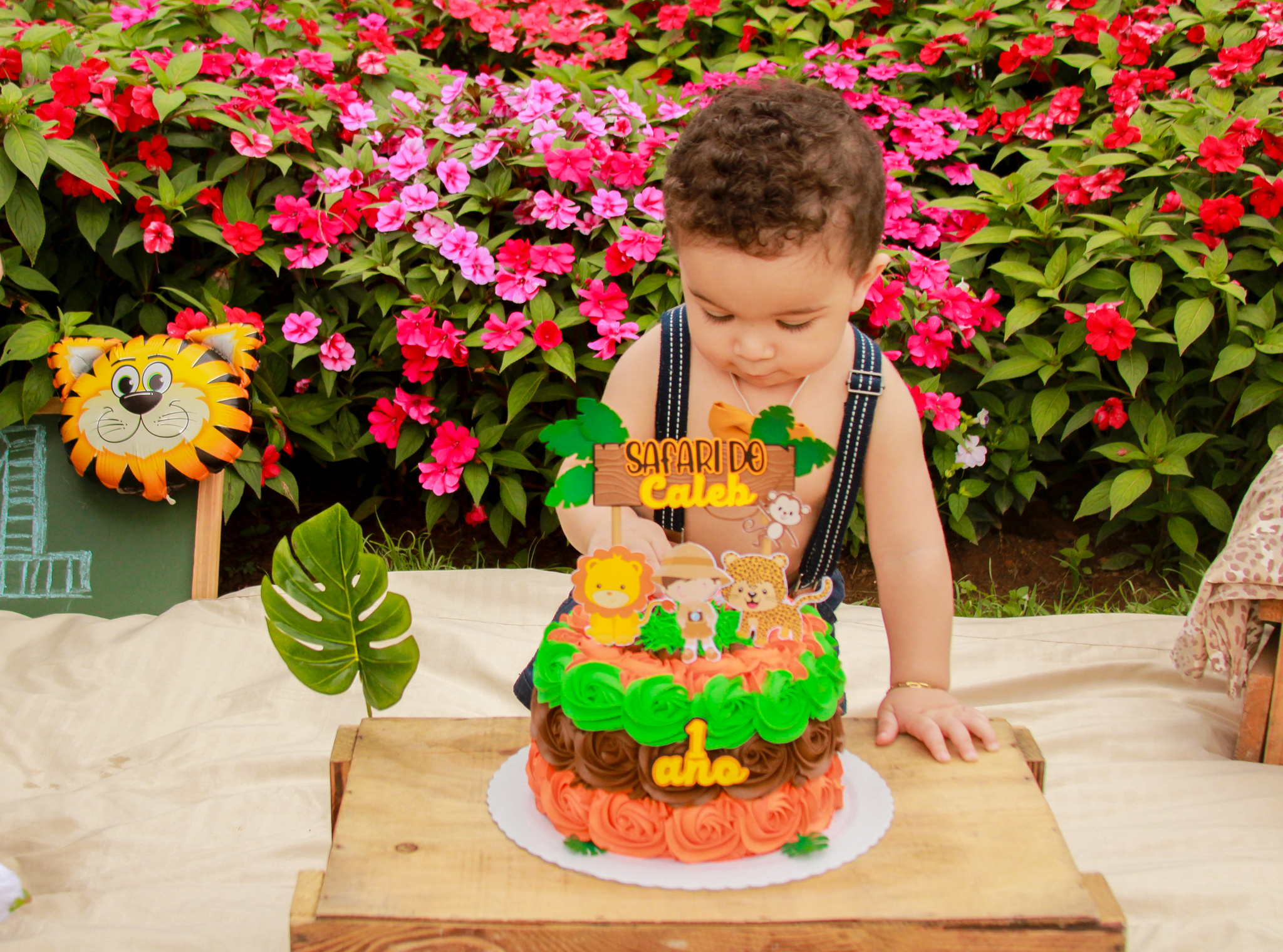 nsaio smash the cake fotógrafo ipatinga parque ipanema ensaio infantil com tema savana 1 aninho esmague o bolo família em coronel fabriciano timóteo (13).jpg