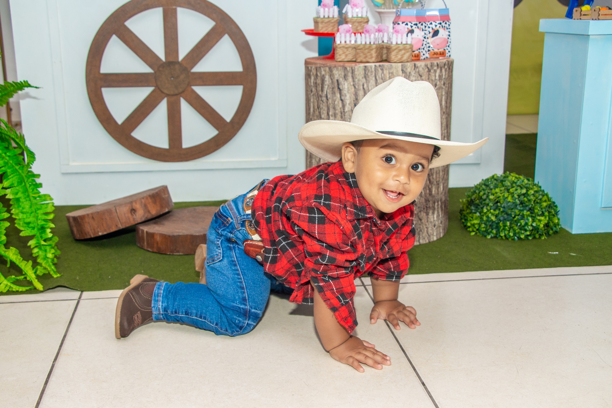 festa de aniversario infantil em ipatinga inspiraçao salão de festas realize eventos fotógrafo fazendinha joão ipatinga infantil João 1 ano - Festa infantil em Ipatinga