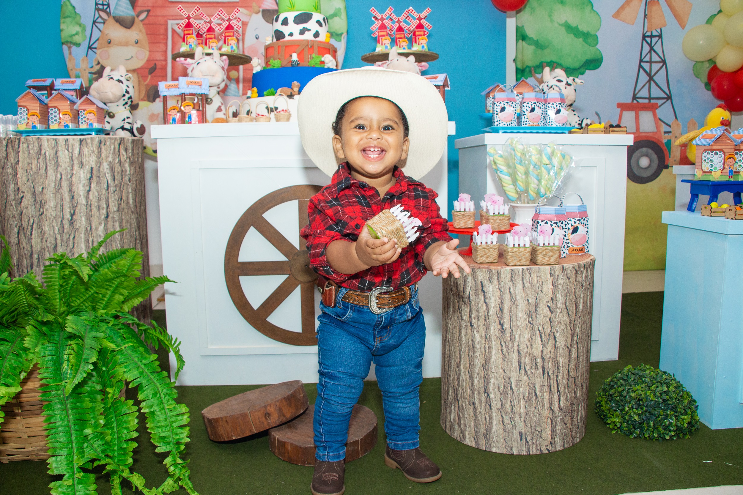 festa de aniversario infantil em ipatinga inspiraçao salão de festas realize eventos fotógrafo fazendinha joão ipatinga infantil João 1 ano - Festa infantil em Ipatinga