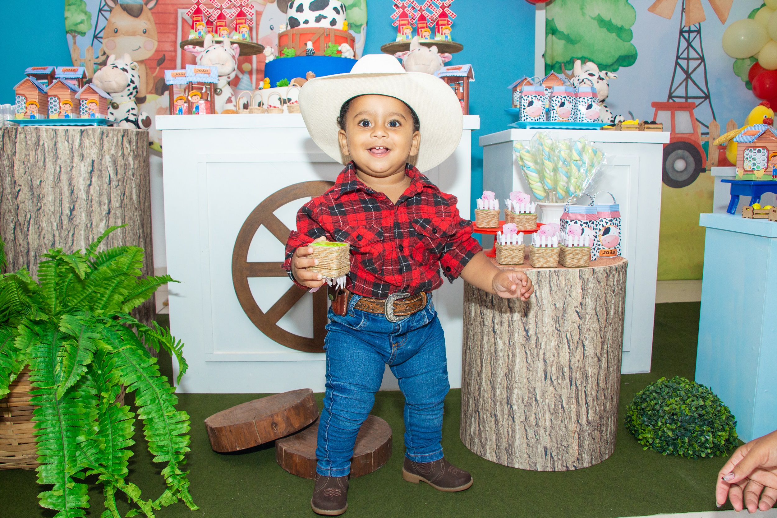 festa de aniversario infantil em ipatinga inspiraçao salão de festas realize eventos fotógrafo fazendinha joão ipatinga infantil João 1 ano - Festa infantil em Ipatinga