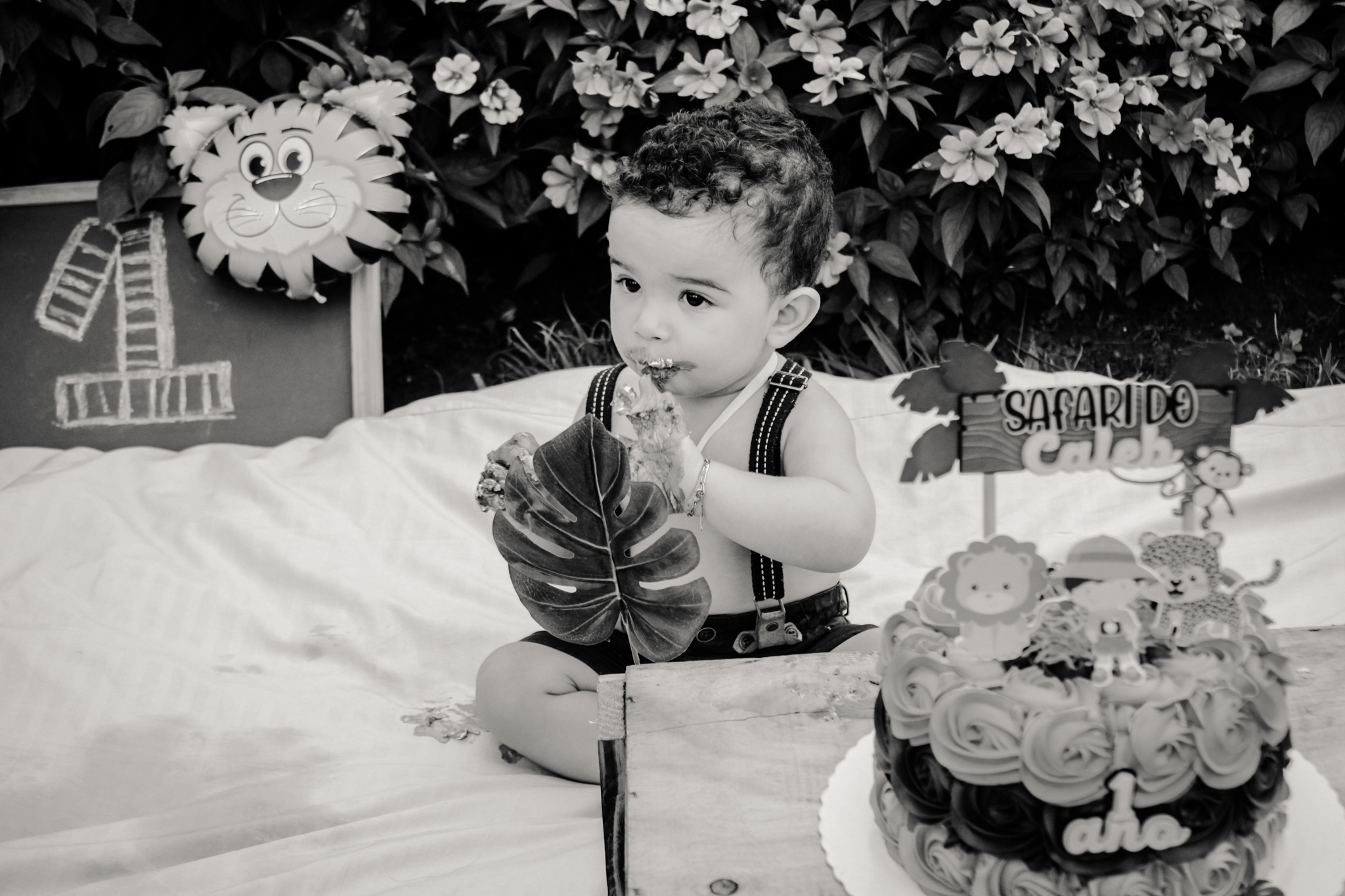 CALEB ensaio smash the cake fotógrafo ipatinga parque ipanema ensaio infantil com tema savana 1 aninho esmague o bolo família em coronel fabriciano timóteo (8)