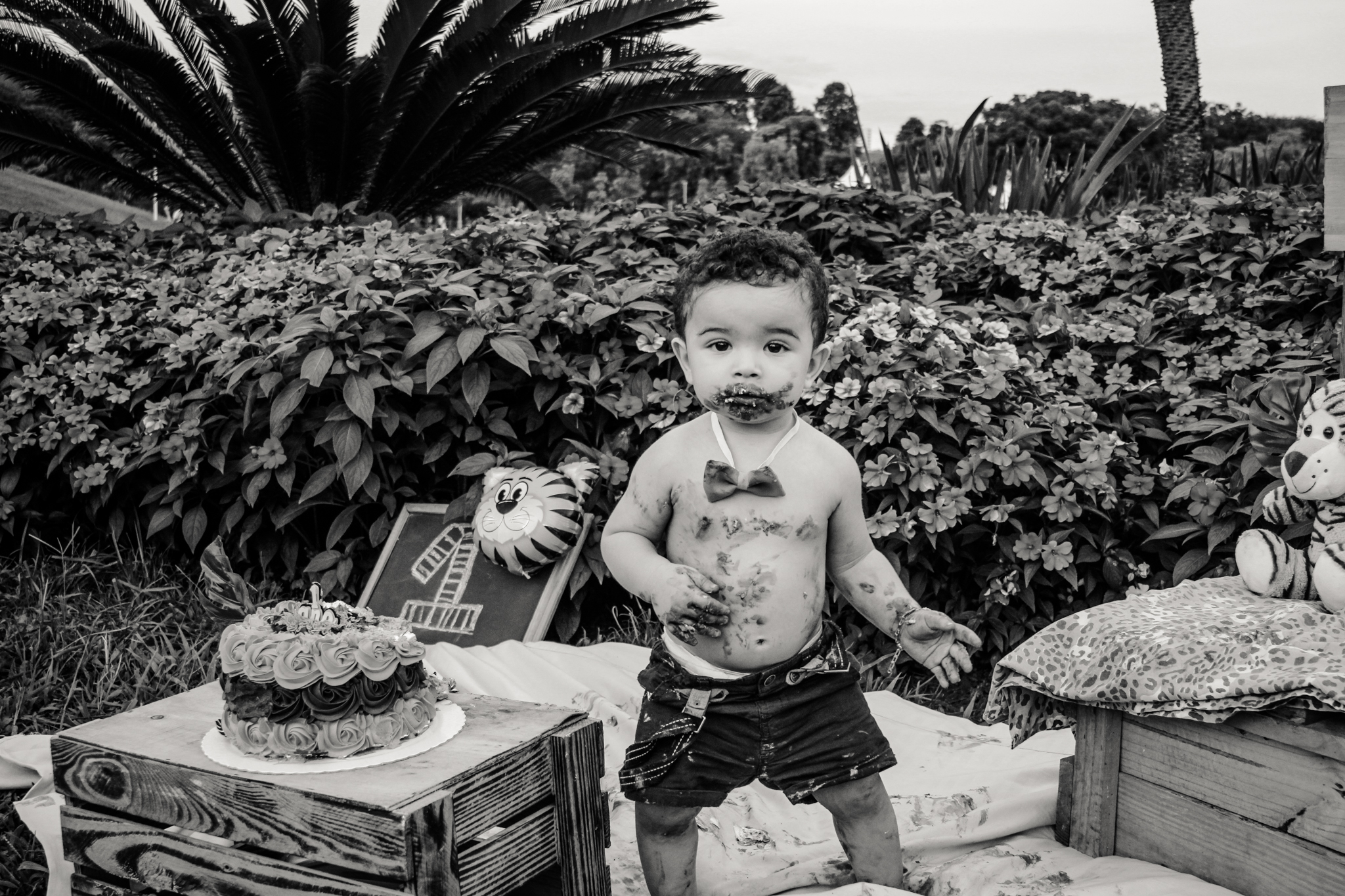 CALEB ensaio smash the cake fotógrafo ipatinga parque ipanema ensaio infantil com tema savana 1 aninho esmague o bolo família em coronel fabriciano timóteo (8) Caleb 1 ano - Ensaio Smash the cake