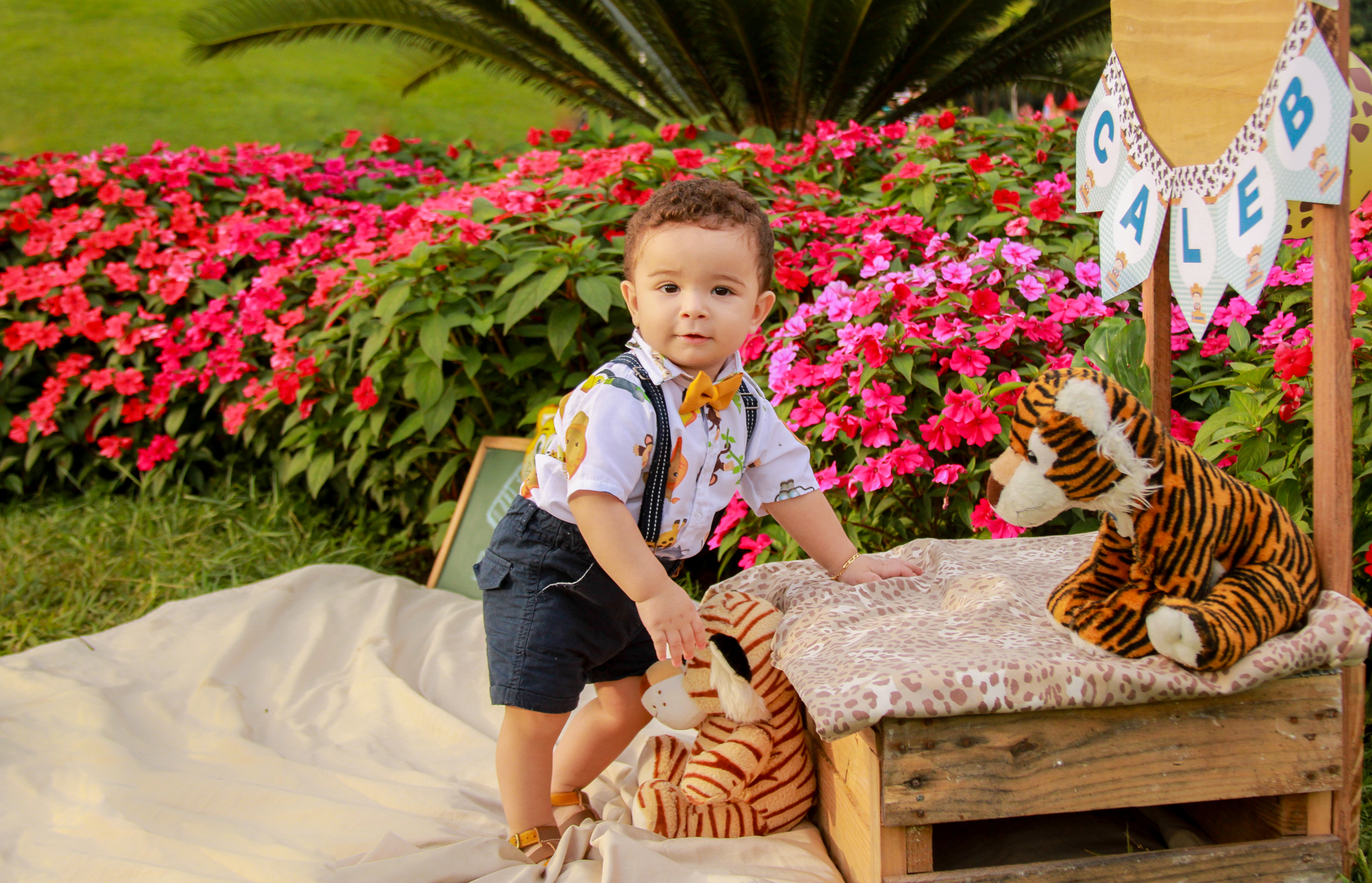 CALEB ensaio smash the cake fotógrafo ipatinga parque ipanema ensaio infantil com tema savana 1 aninho esmague o bolo família em coronel fabriciano timóteo (8) Caleb 1 ano - Ensaio Smash the cake