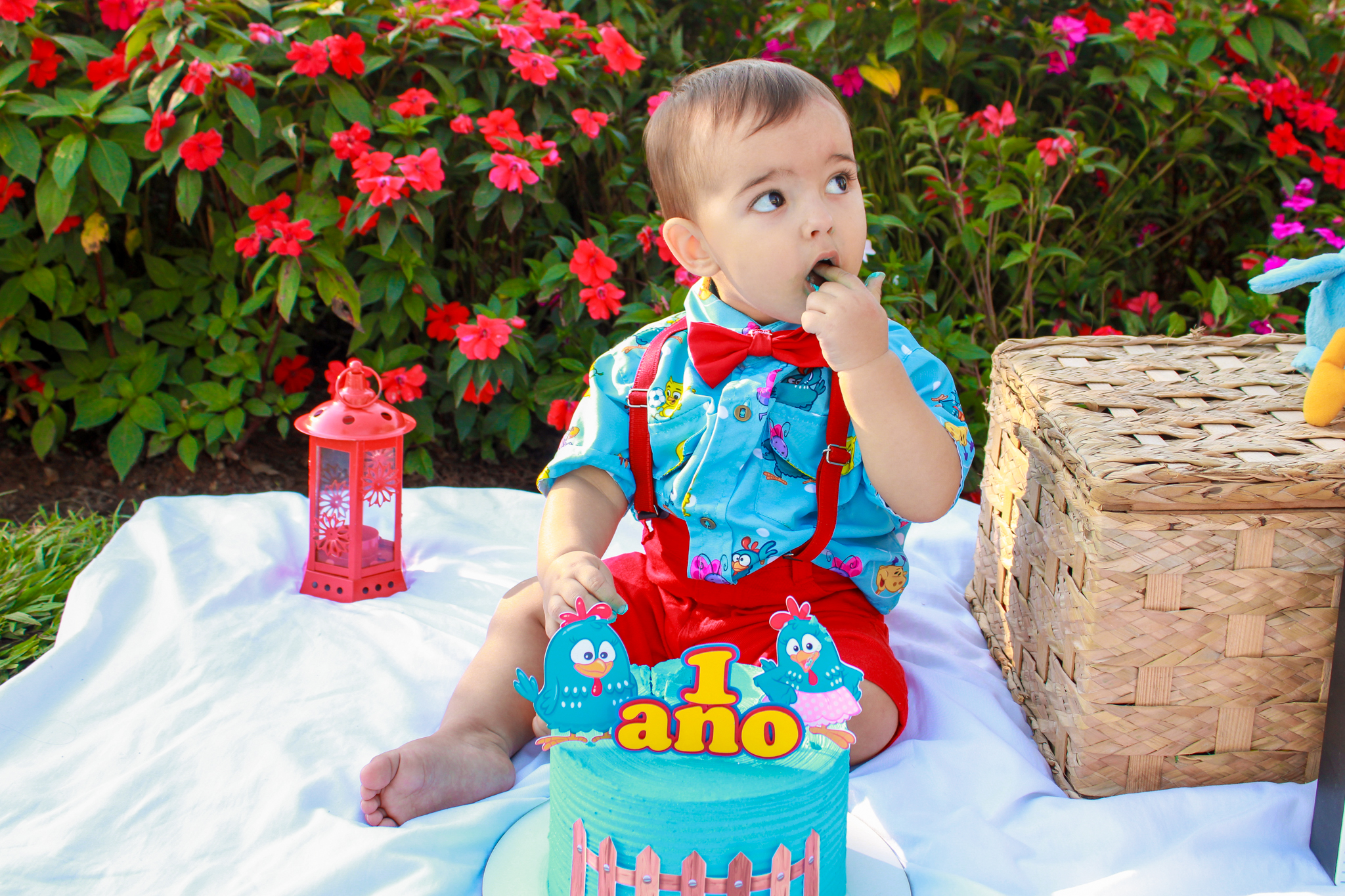 ensaio smash the cake baby bebe galinha pintadinha ensaio infantil menino 1 ano 1 aninho fotógrafo ipatinga