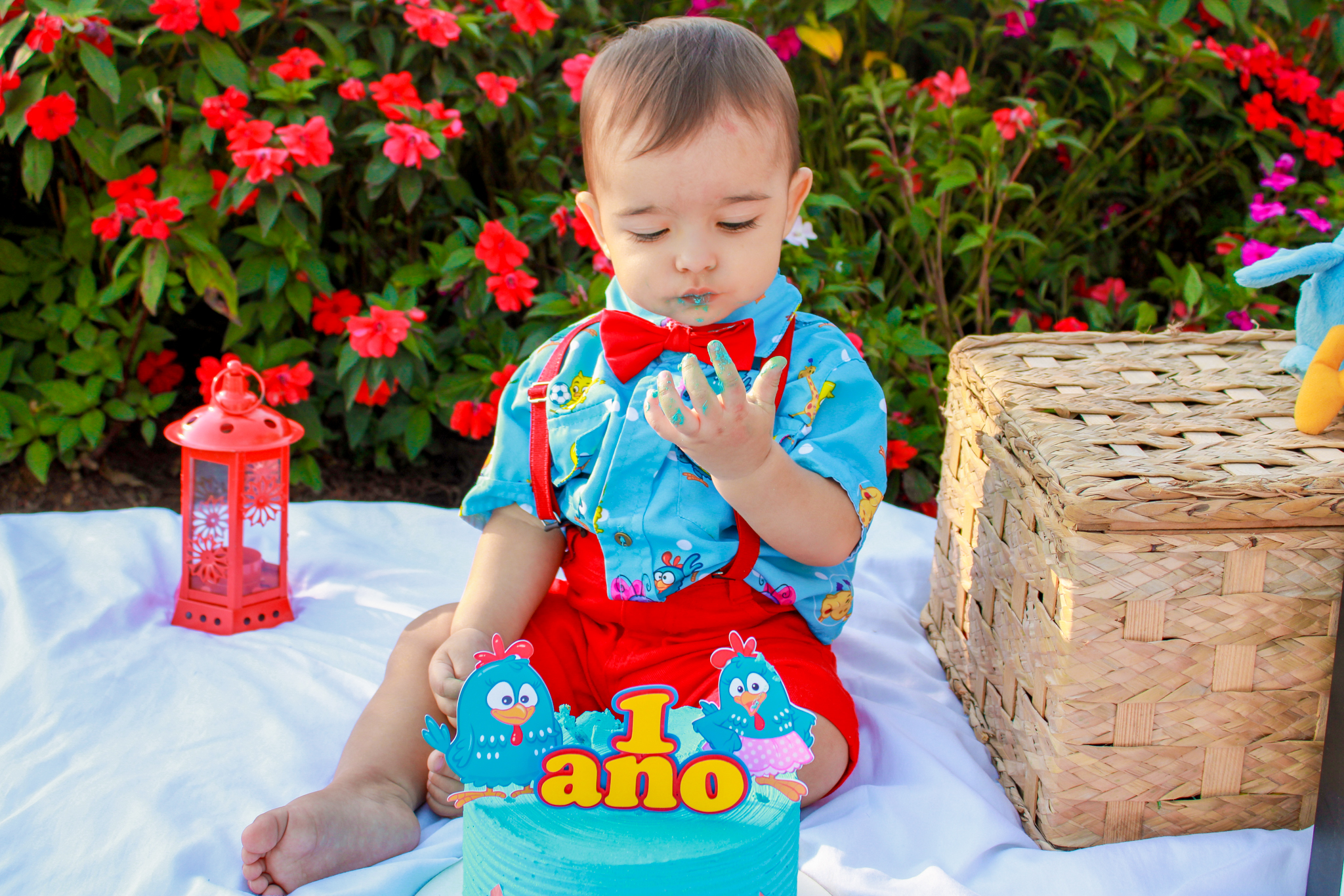 ensaio smash the cake baby bebe galinha pintadinha ensaio infantil menino 1 ano 1 aninho fotógrafo ipatinga