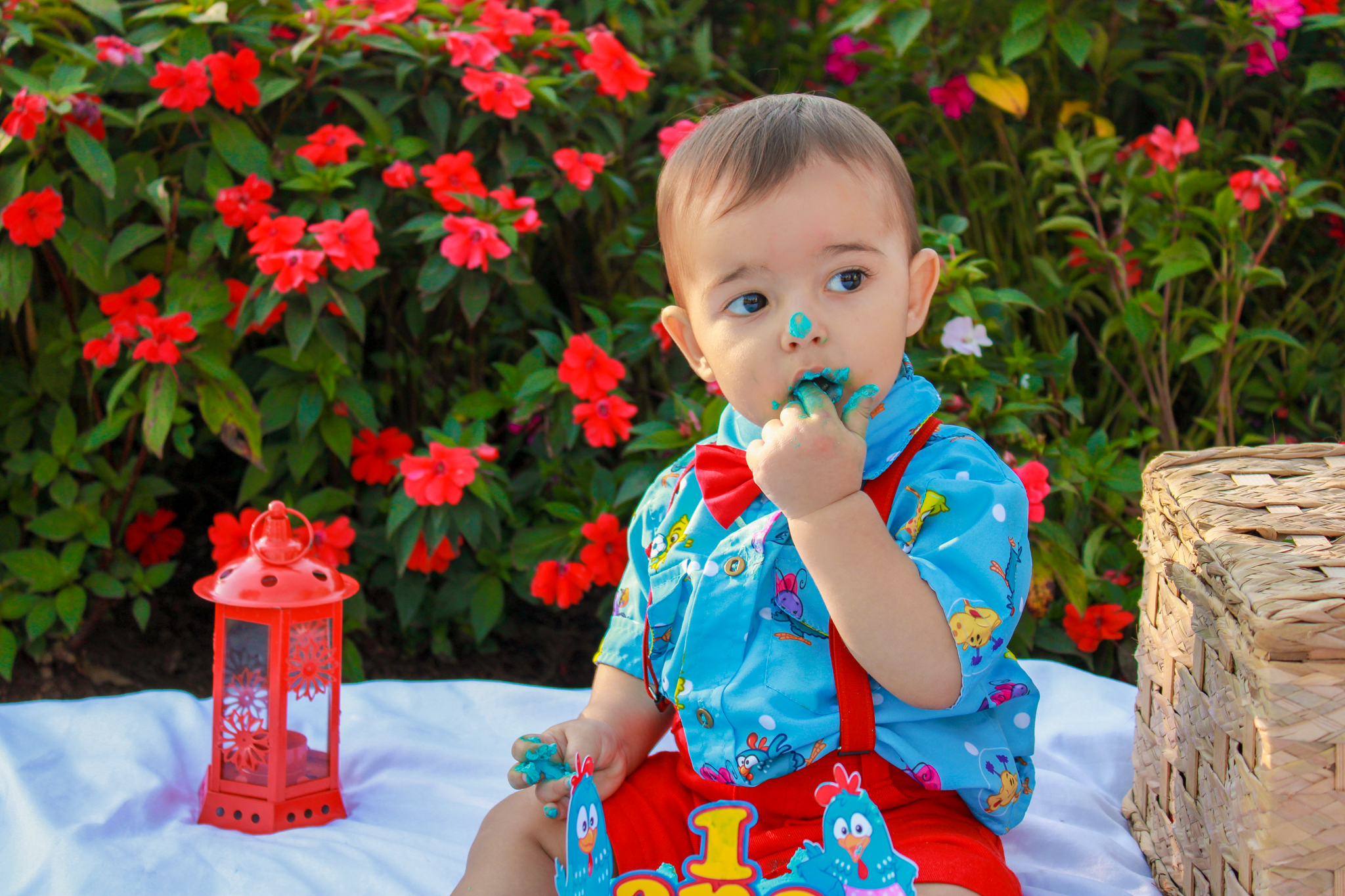 ensaio smash the cake baby bebe galinha pintadinha ensaio infantil menino 1 ano 1 aninho fotógrafo ipatinga