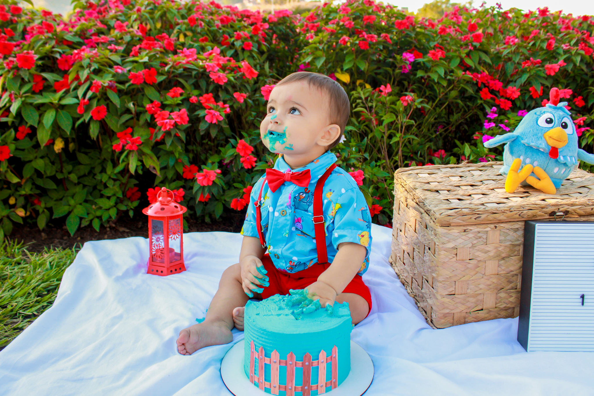 ensaio smash the cake baby bebe galinha pintadinha ensaio infantil menino 1 ano 1 aninho fotógrafo ipatinga