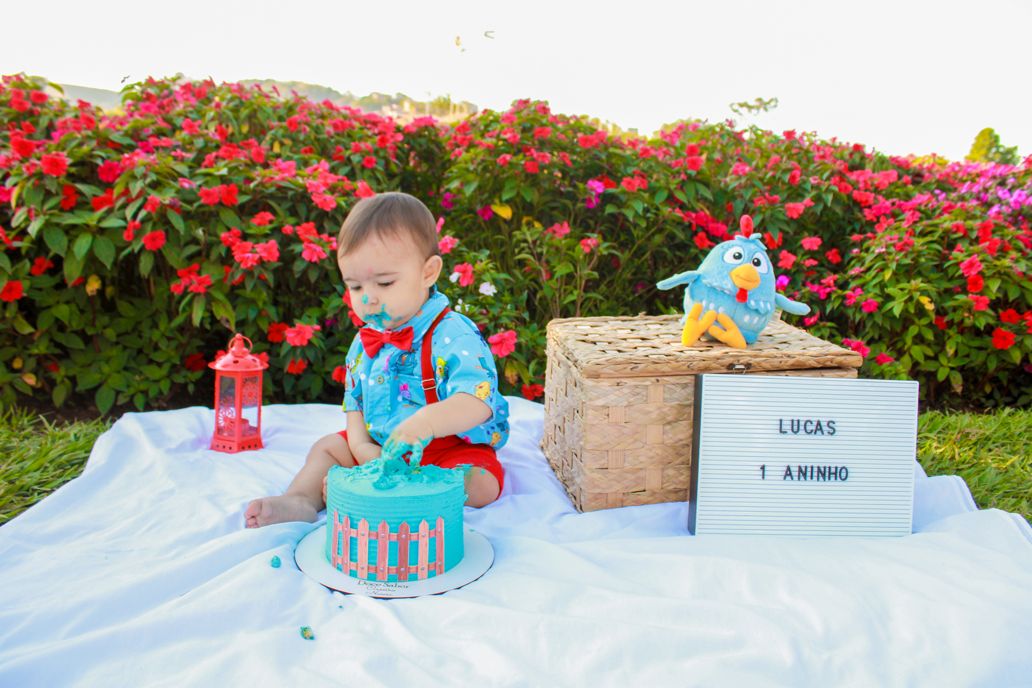 ensaio smash the cake baby bebe galinha pintadinha ensaio infantil menino 1 ano 1 aninho fotógrafo ipatinga