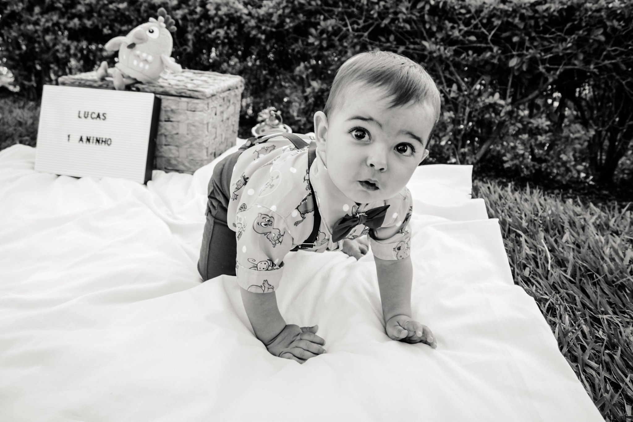 ensaio smash the cake baby bebe galinha pintadinha ensaio infantil menino 1 ano 1 aninho fotógrafo ipatinga Ensaio Lucas - Smash The cake Gaya Fotografias