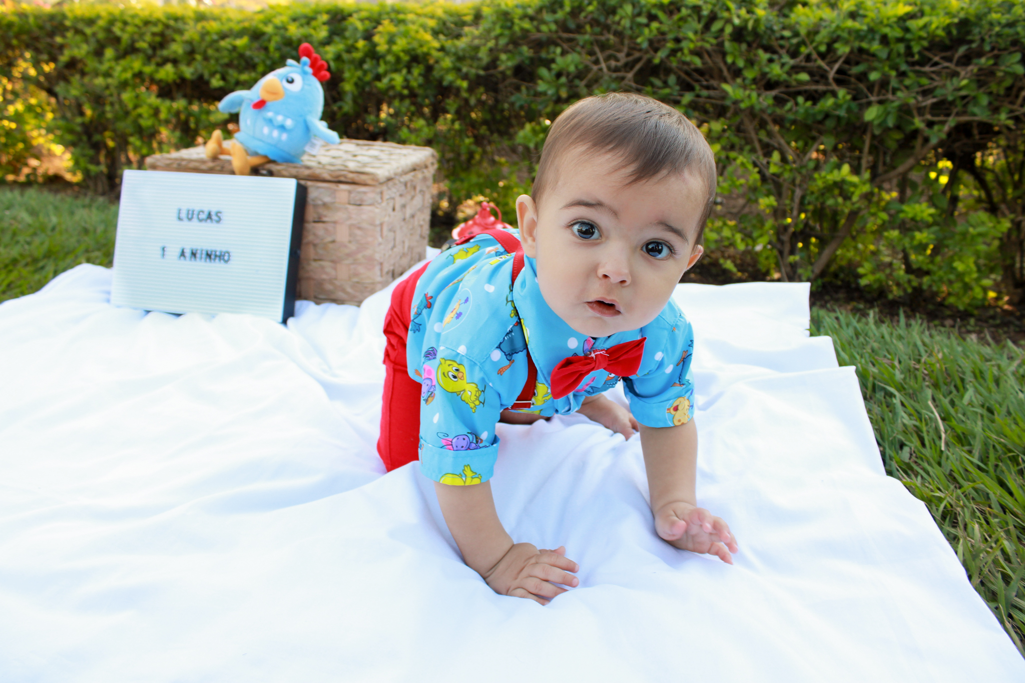 ensaio smash the cake baby bebe galinha pintadinha ensaio infantil menino 1 ano 1 aninho fotógrafo ipatinga Ensaio Lucas - Smash The cake Gaya Fotografias